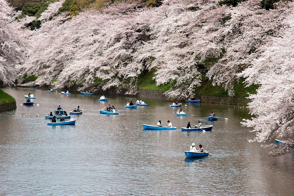 Chidorigafuchi