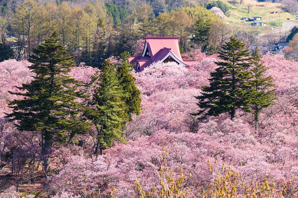 El parque de las ruinas del castillo de Takatō