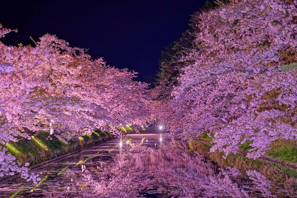 Hirosaki Park