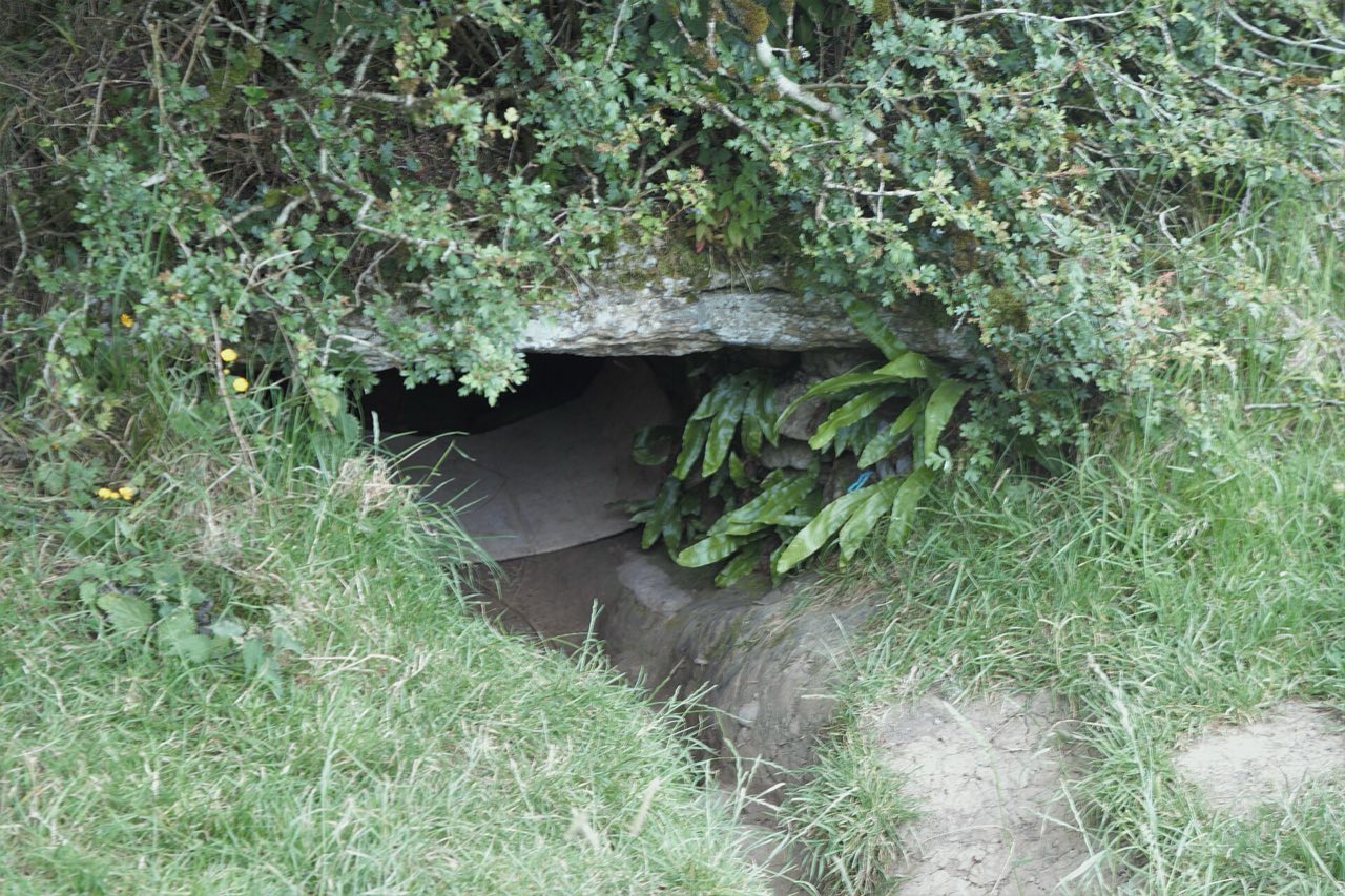 La Morrígan