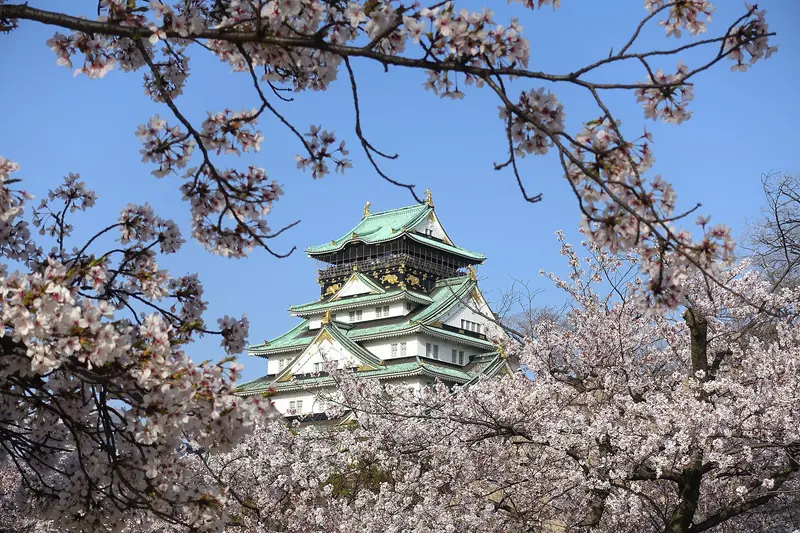 El Castillo de Osaka en temporada de cerezos en flor.