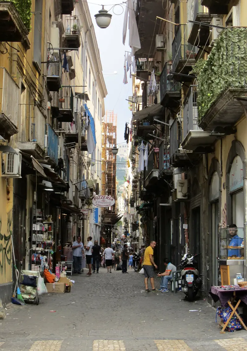 A stretch of Via San Biagio dei Librai in the Historic Centre of Naples, photographed in 2014; it does not represent the whole World Heritage area