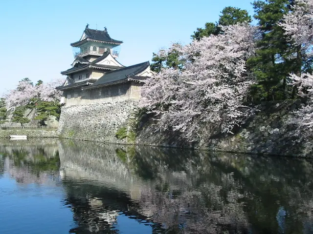 La torre del castillo de Toyama reflejada en el foso, con cerezos en flor junto a los muros de piedra