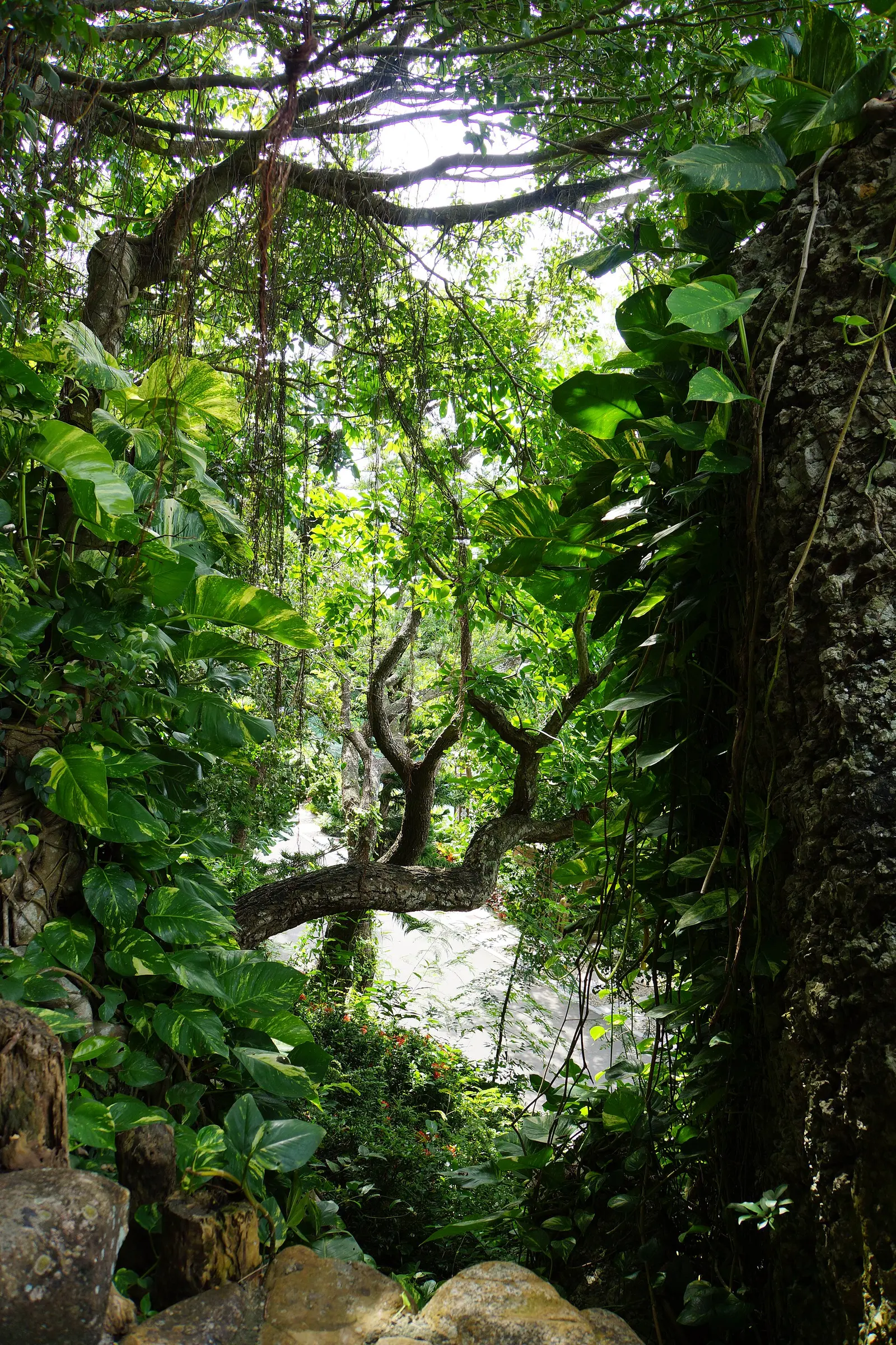 Scenery at Luhuitou Park, Sanya, photographed in 2013