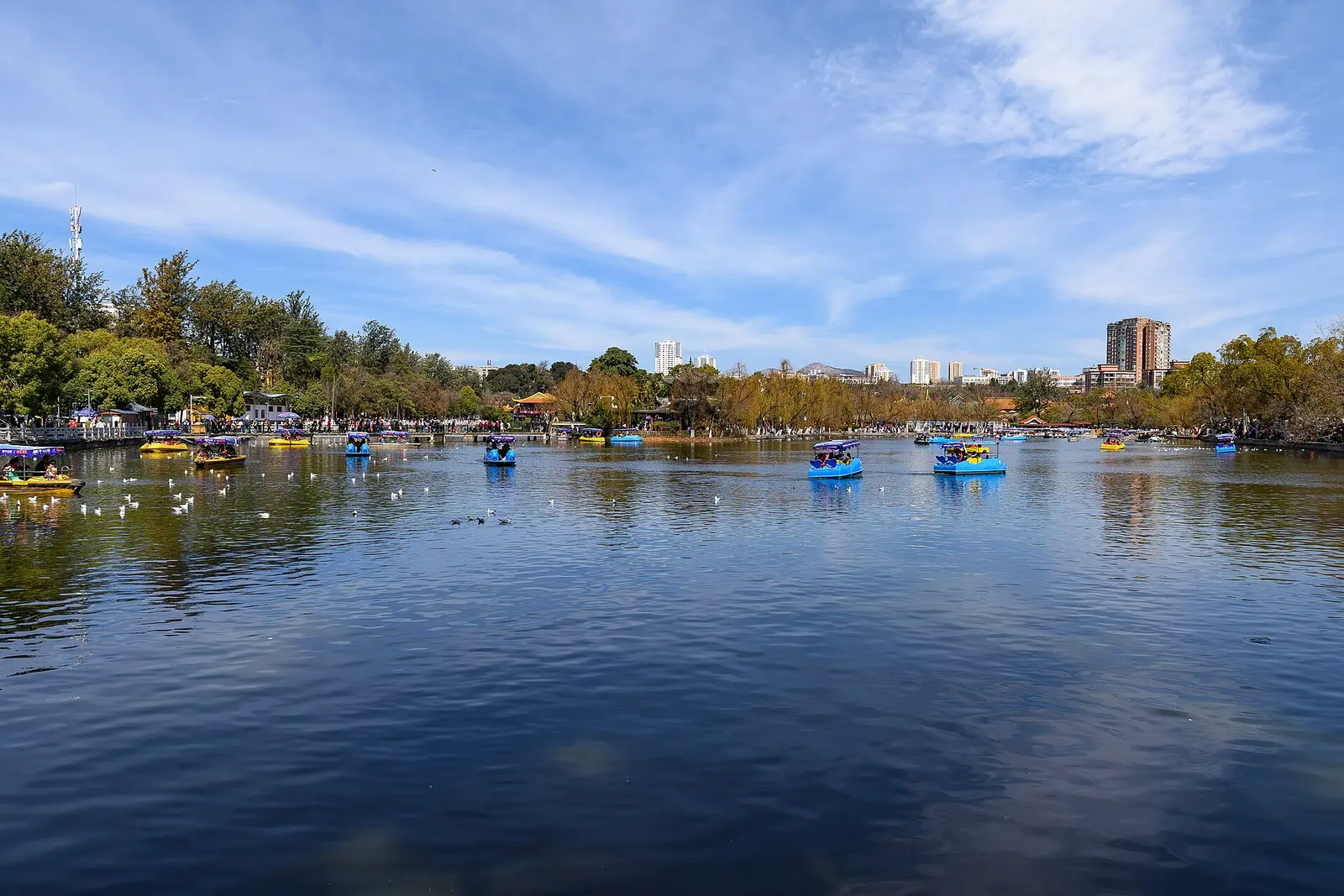 La parte suroeste del parque del Lago Verde en febrero de 2024