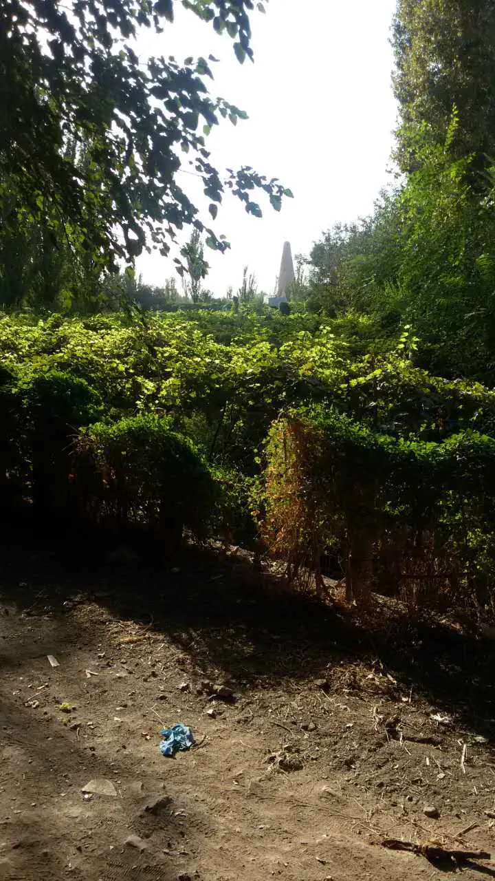 Grape Valley in 2016, not the current state of the grape harvest
