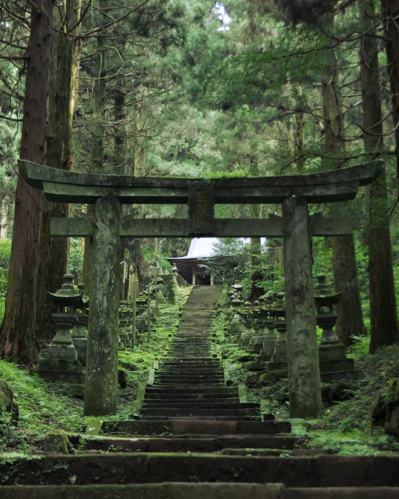 Kamishikimi Kumanoimasu Santuario · foto 1