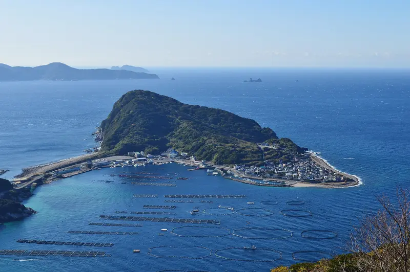 Kashiwajima · foto 1