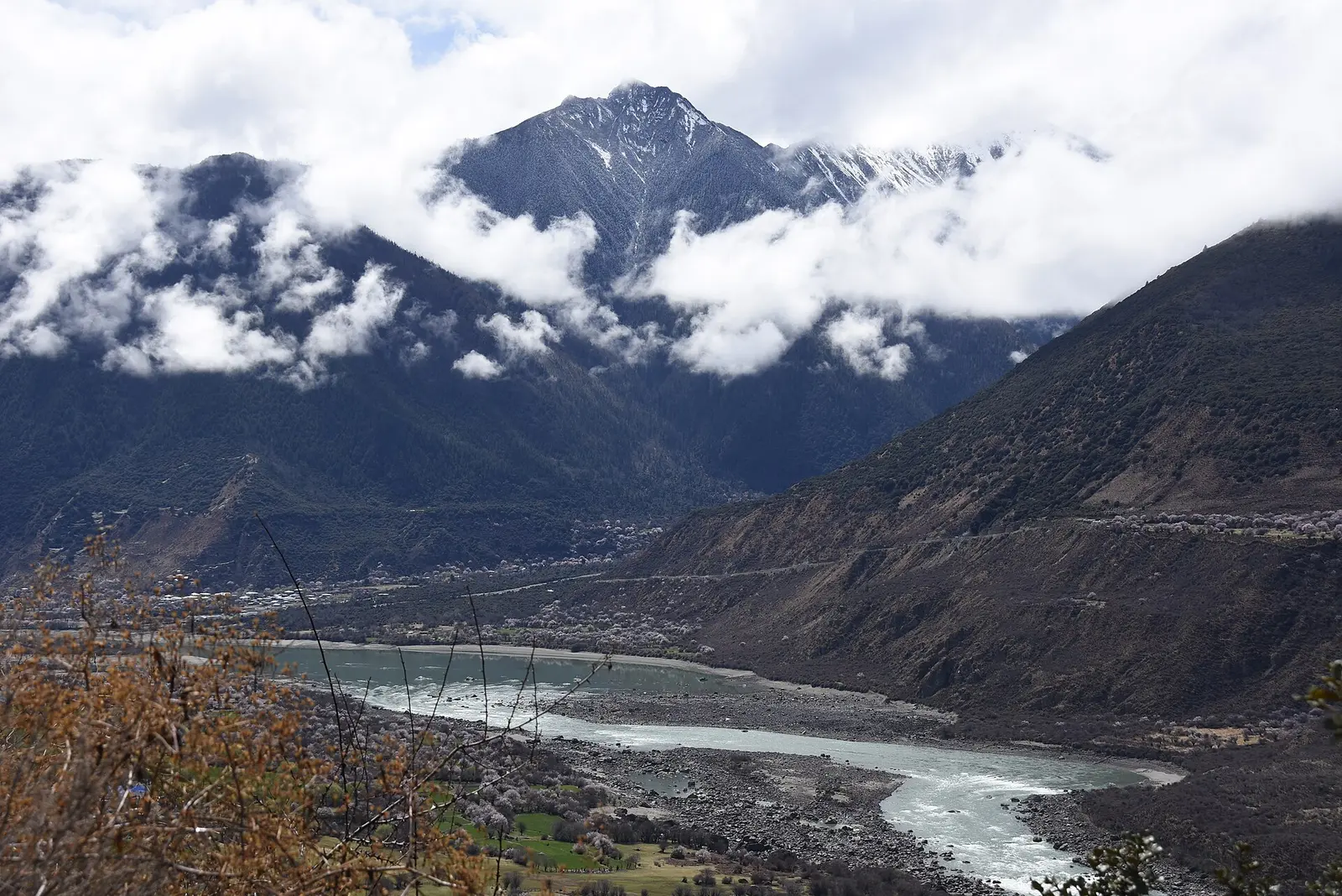 Peach blossoms and the canyon landscape along the Yarlung Tsangpo River in 2017; not the ticket entrance or today's open route