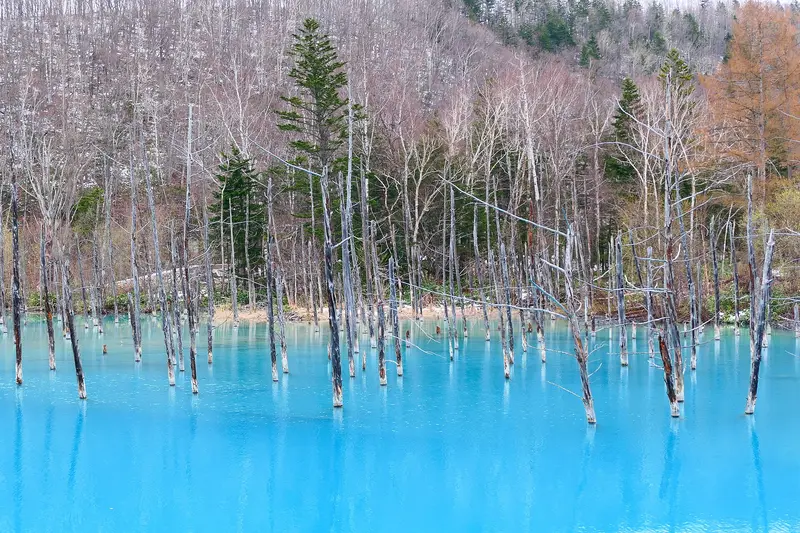 Blue Pond · photo 1