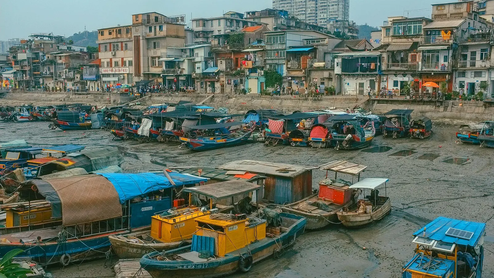 Fishing boats moored in the Shapowei typhoon shelter in 2015